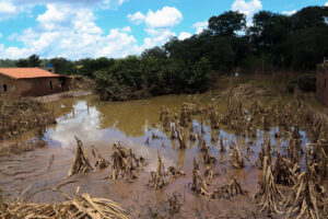 imagem ilustrando a situação das cheias do Rio Paraopeba
