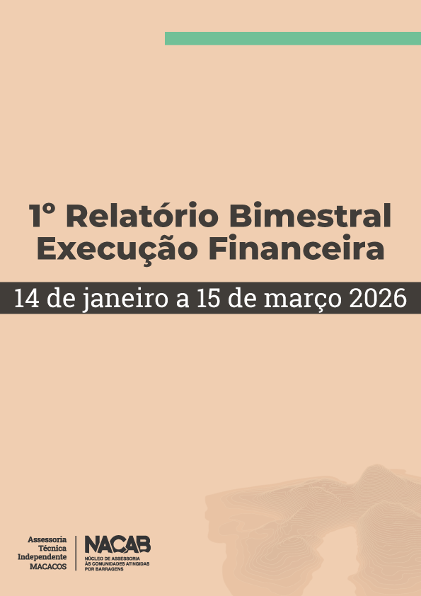 Capa 1º Relatorio Bimestral -Execução Financeira - ATI macacos