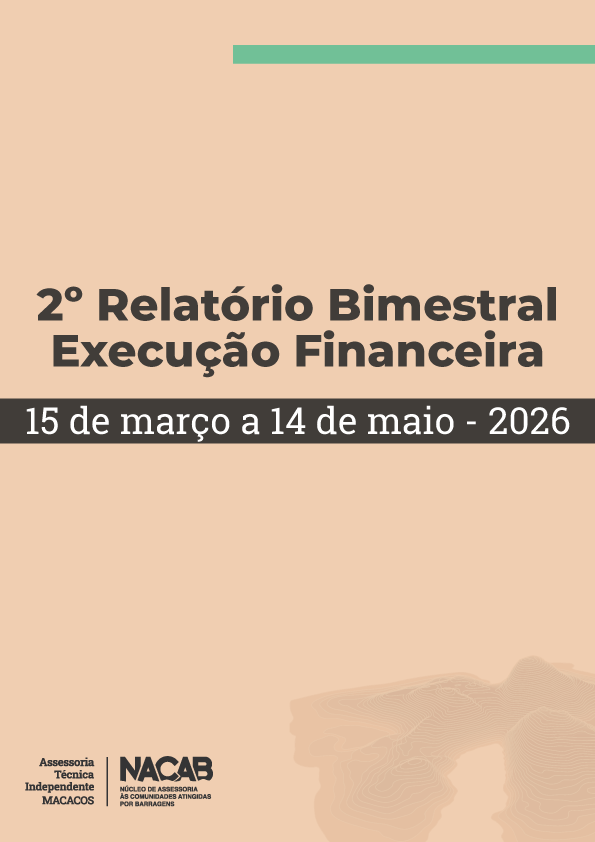 Capa 1º Relatorio Bimestral- Execução Financeira- ATI macacos