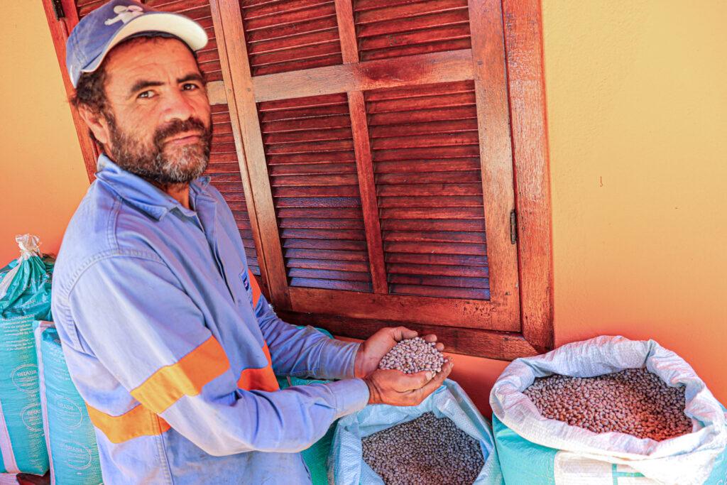 Colheita de Feijão de Genivaldo, atingido de Simão Lavrinha