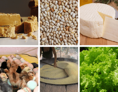 Rapadura, farinha de mandioca, leite, queijo, entrega de cestas, chocadeira de pintinhos: As famílias de Simão Lavrinha já tentaram de tudo um pouco